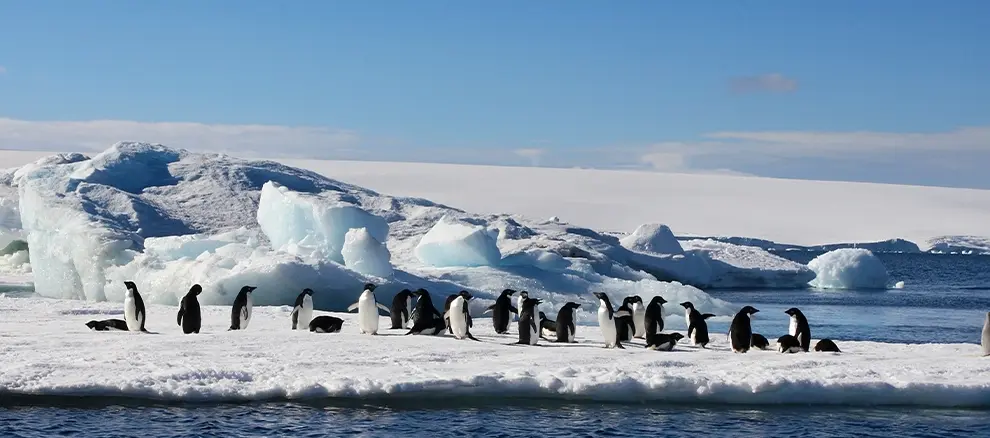 antarctica