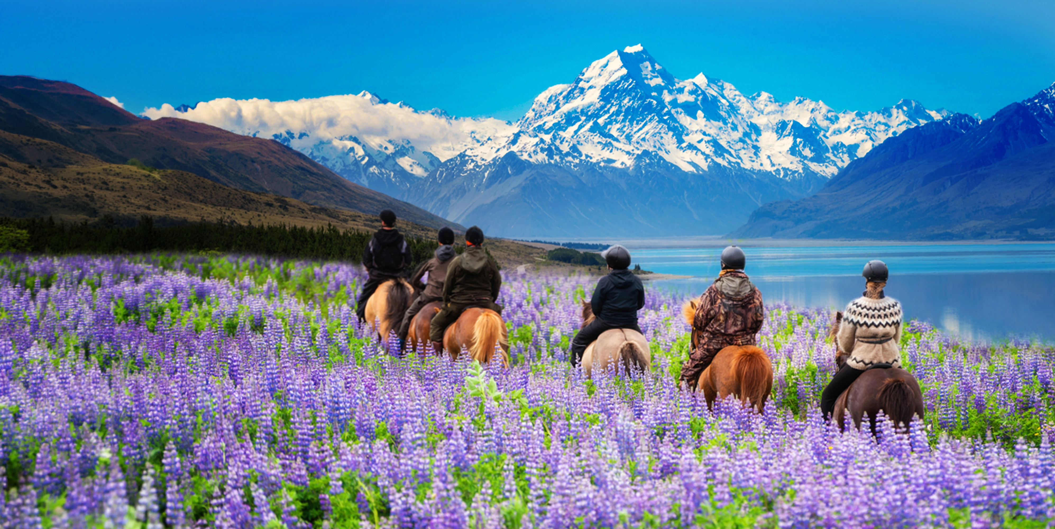 Naturally Newzealand