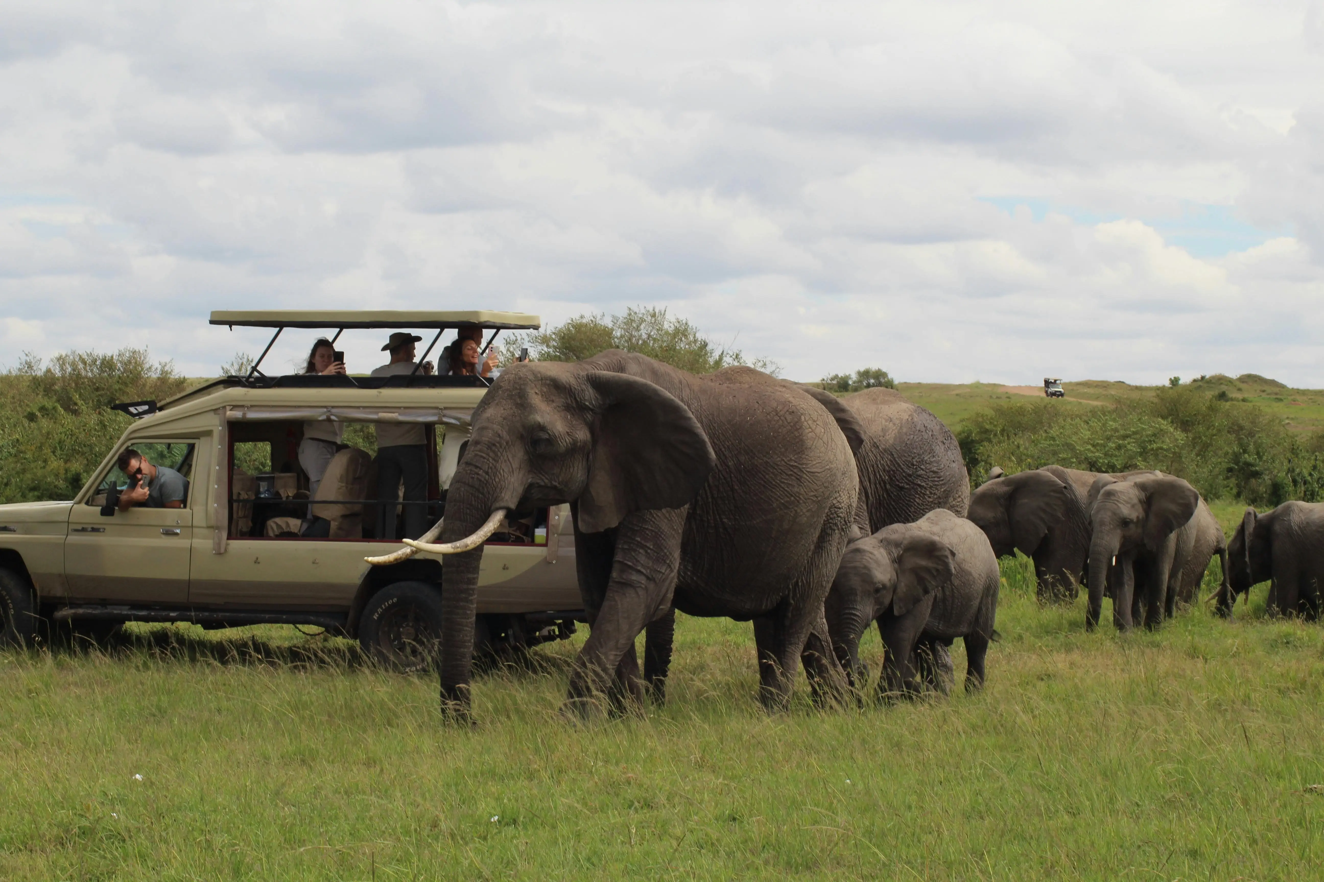 South Africa Diaries — A Journey of Smiles, Safaris & Surprises 