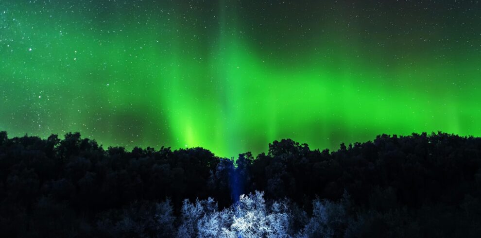 pexels 76505838 8601967