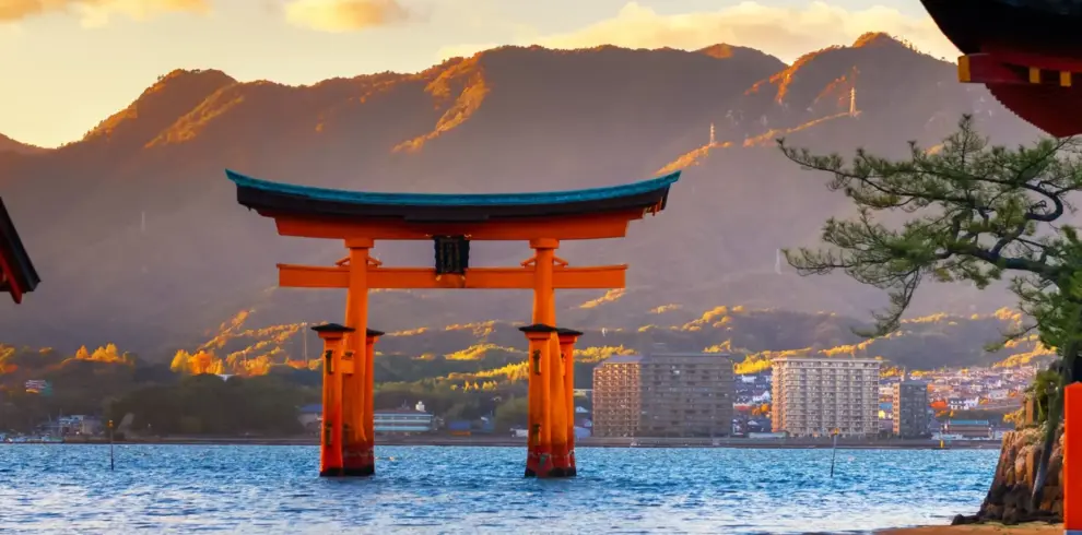 Iconic Japan Floating Torii Experience