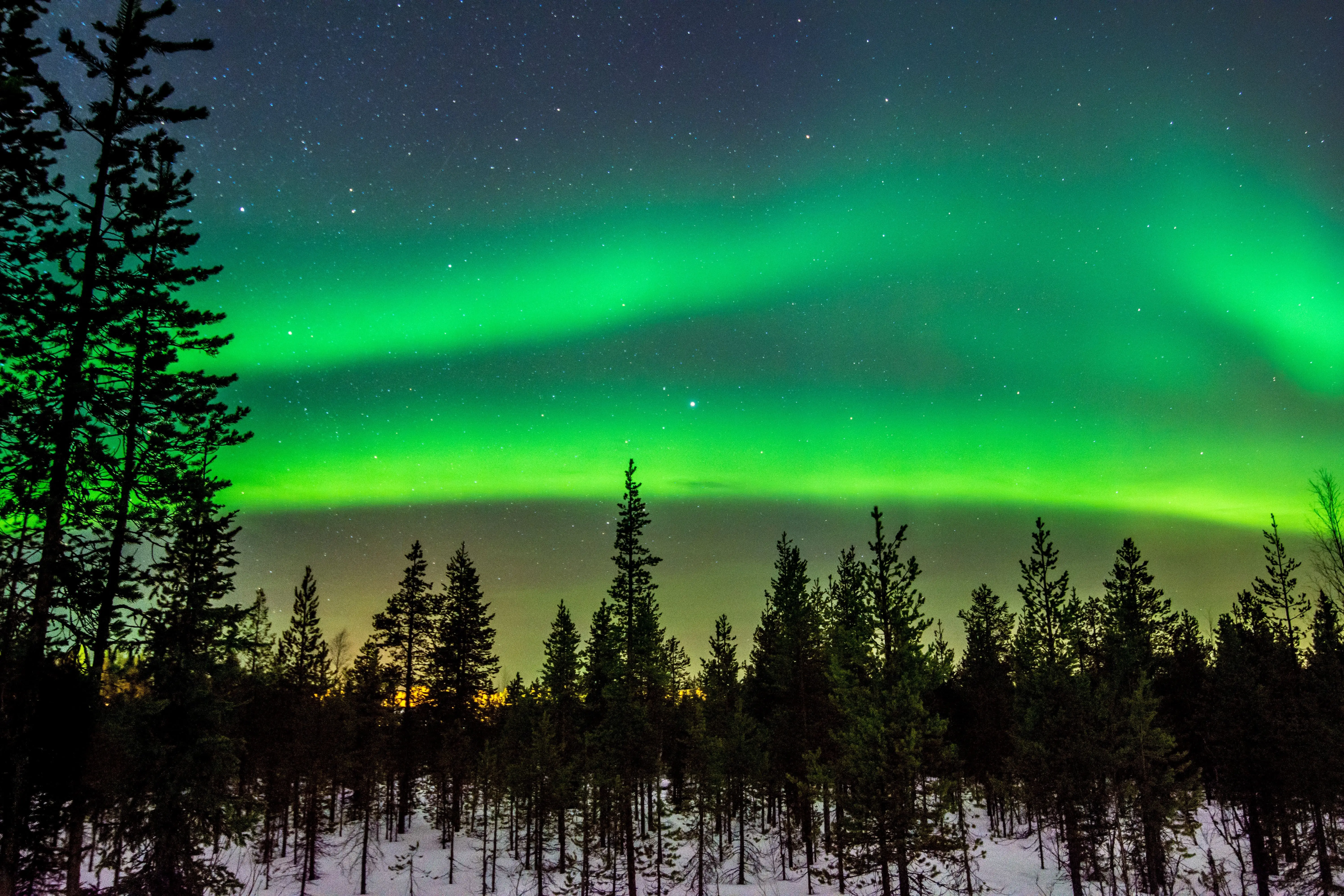 Northern Lights illuminating the winter sky in Lapland